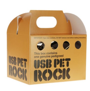USB Haustier Stein 6